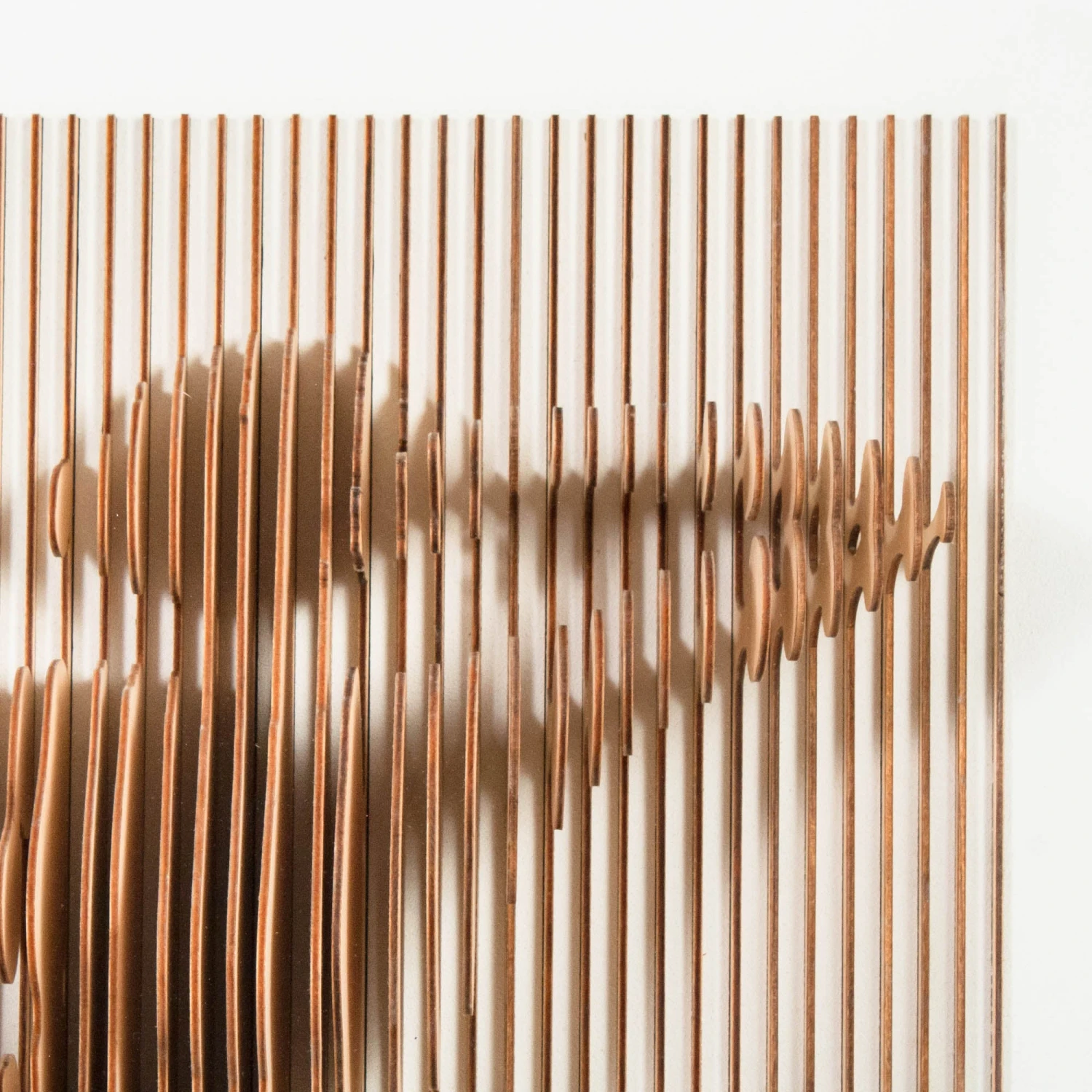 Phish 3D Portrait 7 Phish 3D Portrait - Image 7