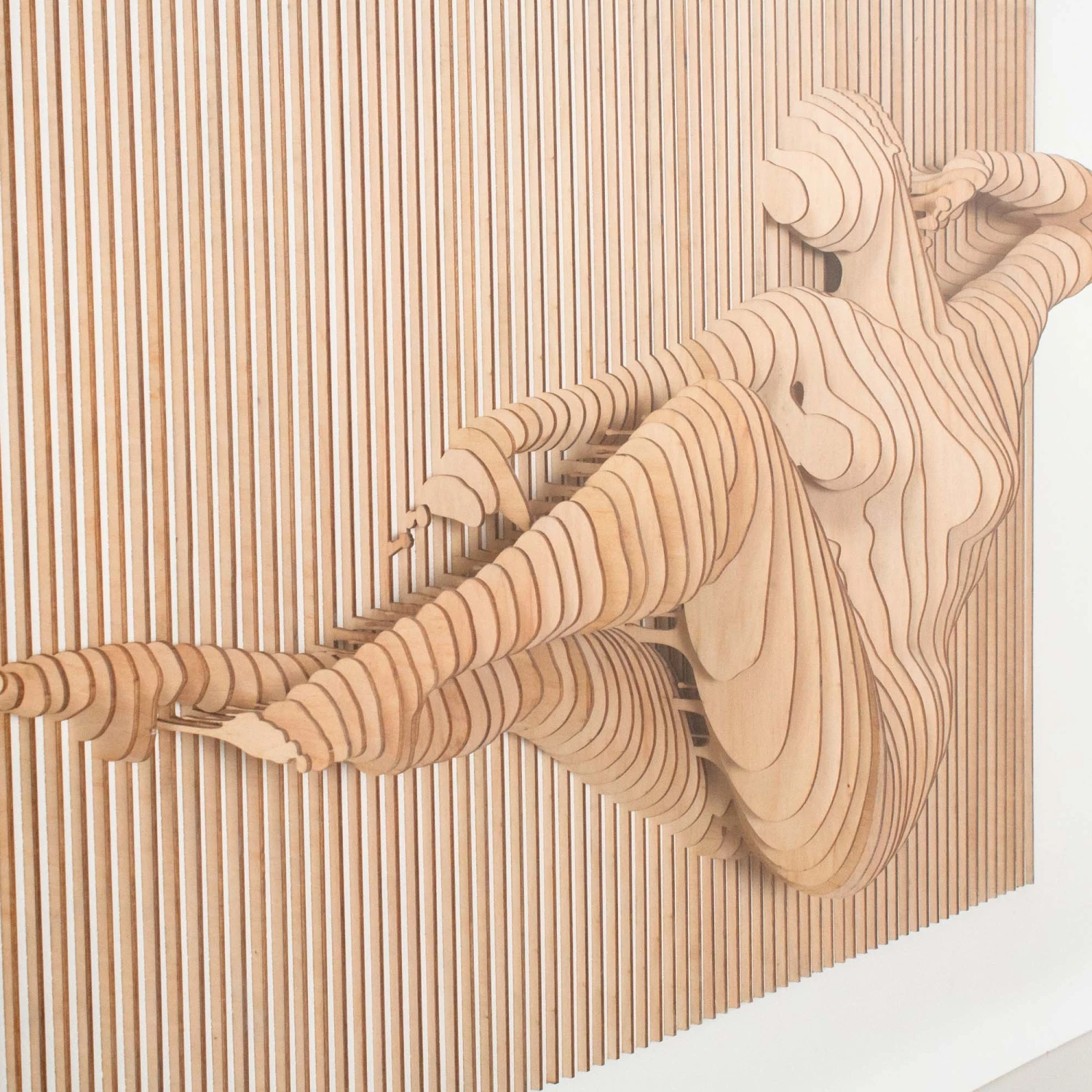 Phish 3D Portrait 5 Phish 3D Portrait - Image 5