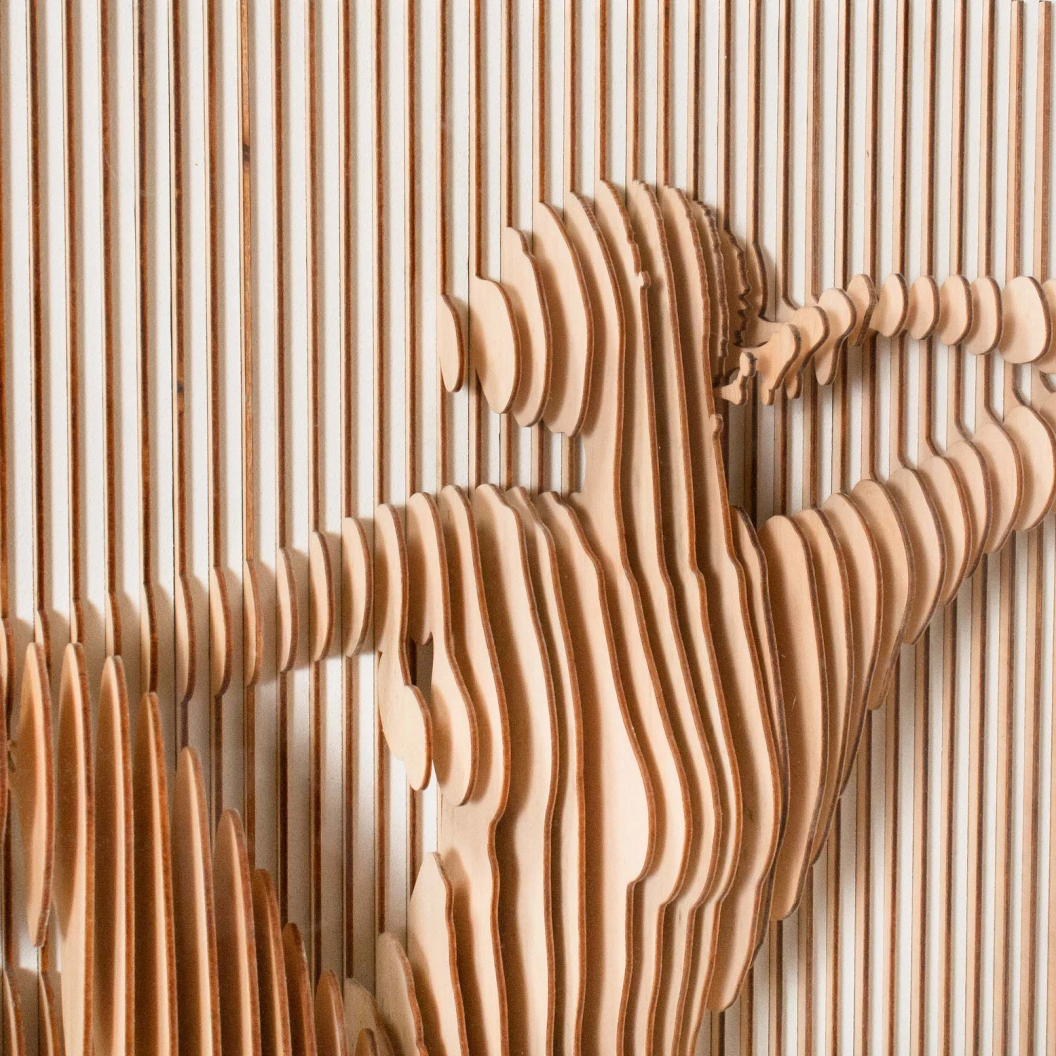 Phish 3D Portrait 6 Phish 3D Portrait - Image 6