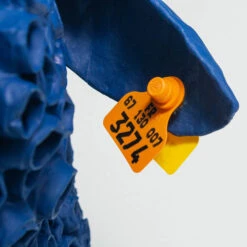 Pierre By Marie Talalaeff -Furniture Shop PierrebyMarieTalalaeff.06