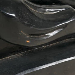 Jaguar In Wood 10 Jaguar In Wood -Furniture Shop RT 26 F22JaguarinWood.02