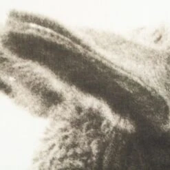 Waldo Printed On Linen -Furniture Shop RT 26 SP22WaldoPrintedonLinen.06