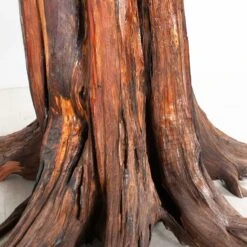 Live Edge Table 2 -Furniture Shop RT 32 SP22LiveEdgeTable2.06