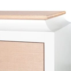 Recon Chest Petite In Kitty Grasscloth 11 Recon Chest Petite In Kitty Grasscloth -Furniture Shop ReconChestPetiteinKittyGrasscloth.04 1c44977e aba0 485d bd22 d9bdc38055a9