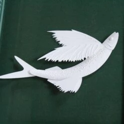 Sankaty Flying Fish -Furniture Shop Sankaty.02