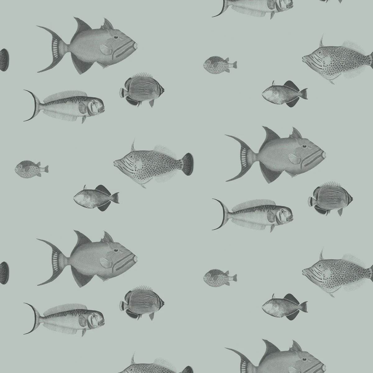 School's Out Wallpaper - Moss 1 School's Out Wallpaper - Moss