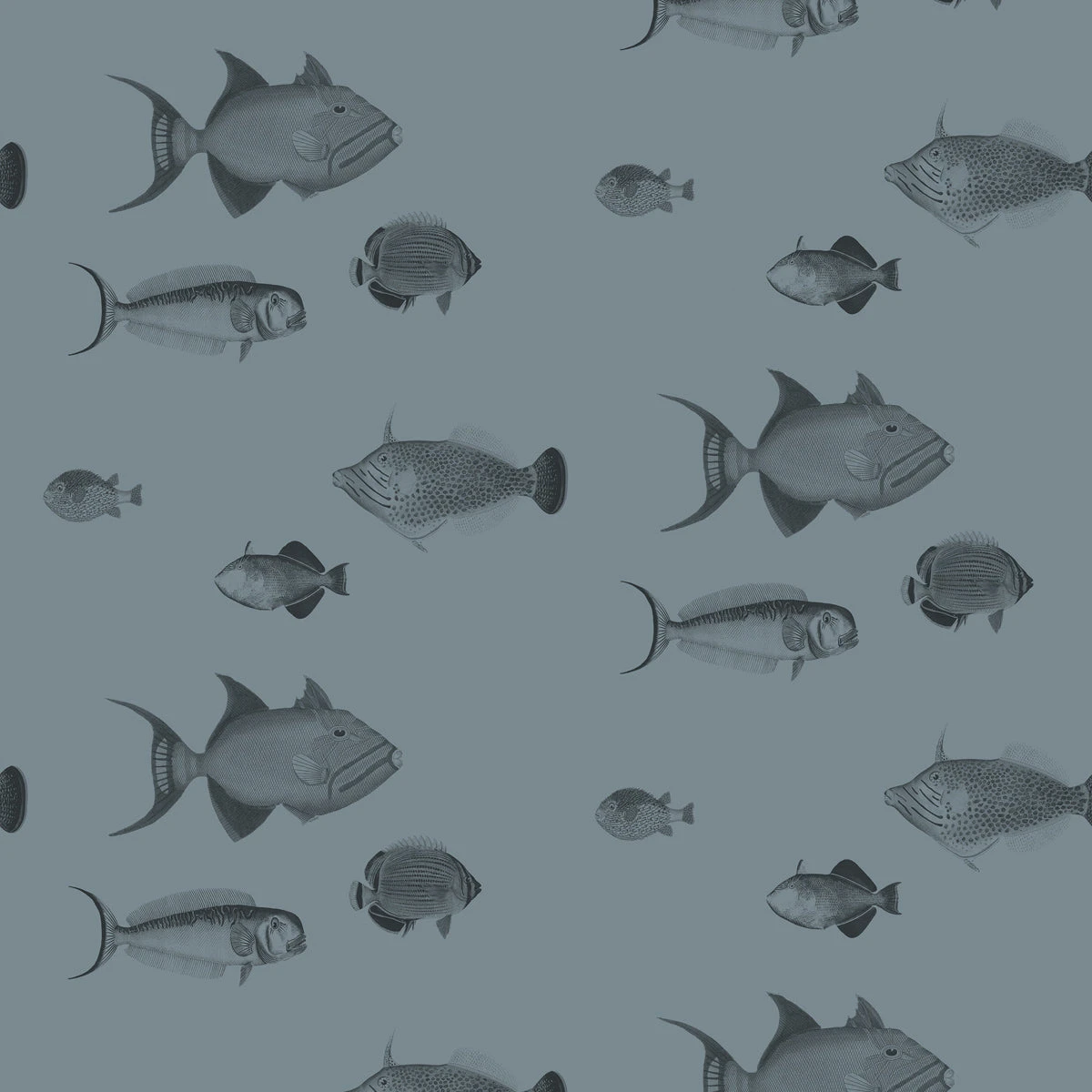 School's Out Wallpaper - Smoke 1 School's Out Wallpaper - Smoke