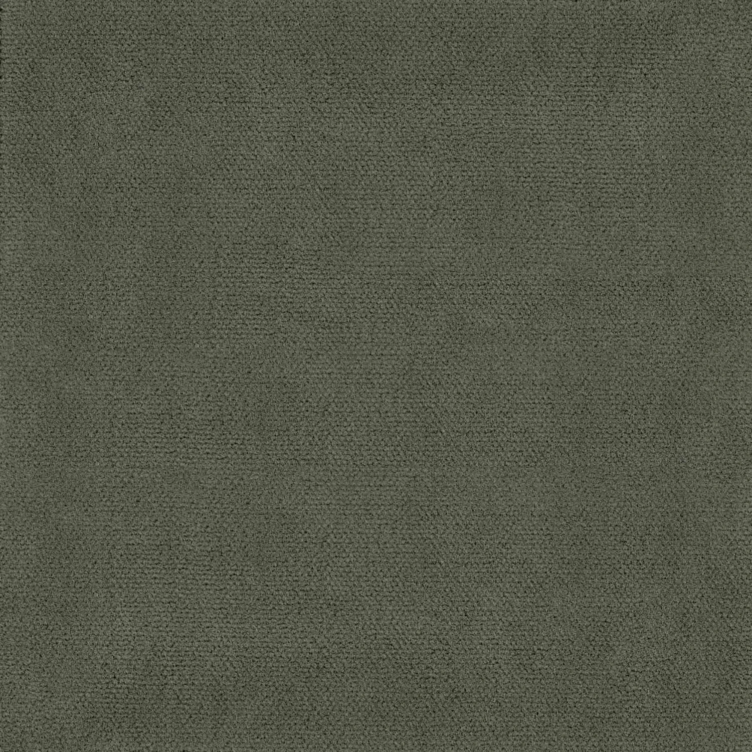 Simone Sage Velvet Fabric 1 Simone Sage Velvet Fabric