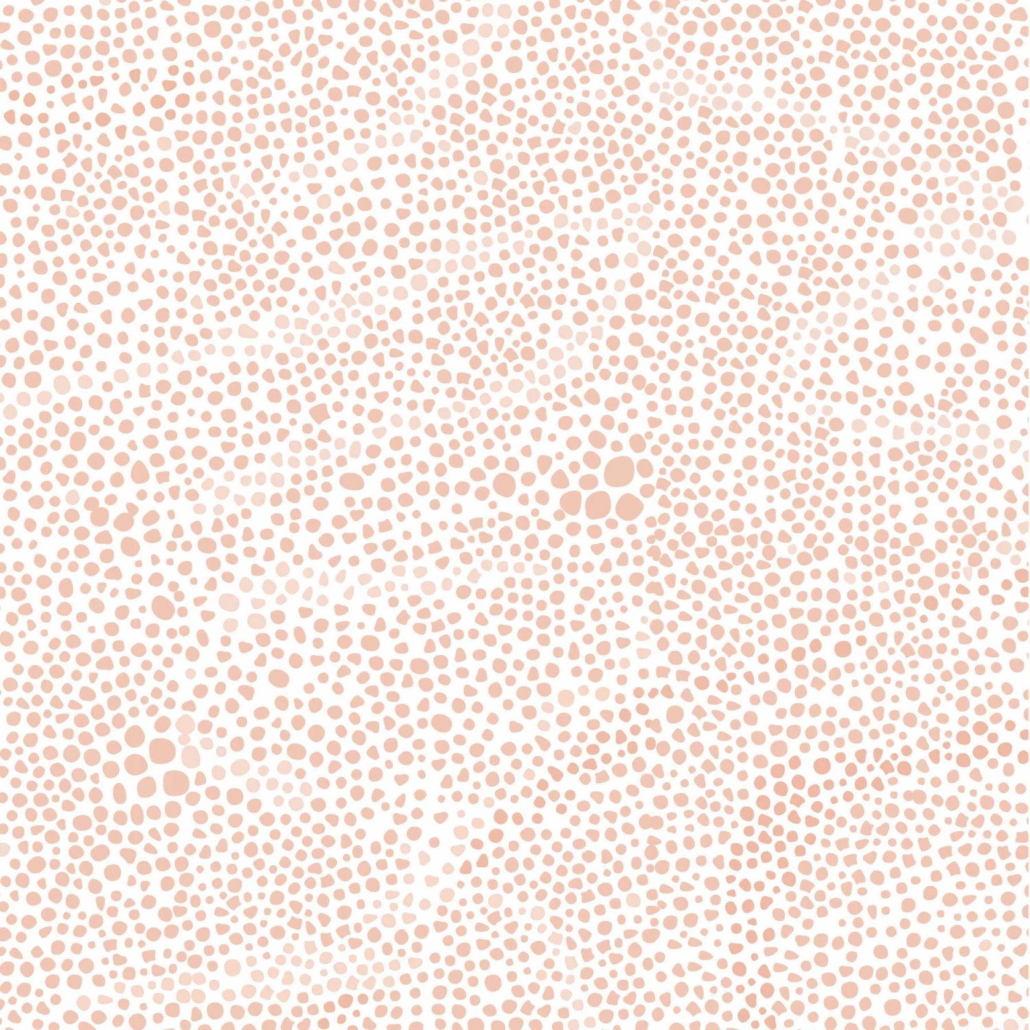 Sting Ray - Blush 1 Sting Ray - Blush