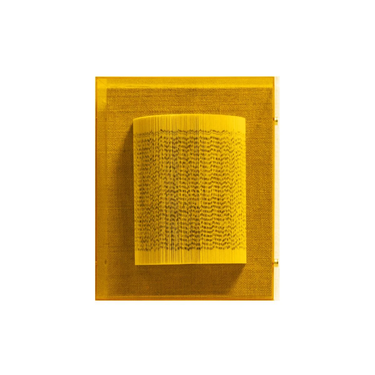 The Library Is Open Amber 1 The Library Is Open Amber