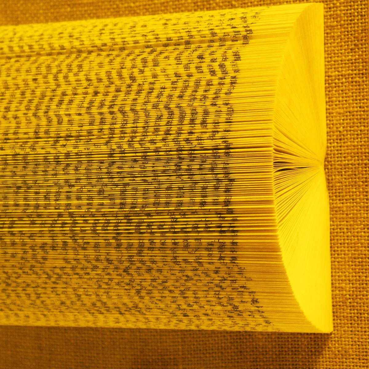 The Library Is Open Amber 5 The Library Is Open Amber - Image 5