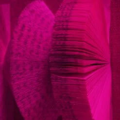 The Library Is Open Magenta -Furniture Shop The 20Library 20Is 20Open 20Magenta.03