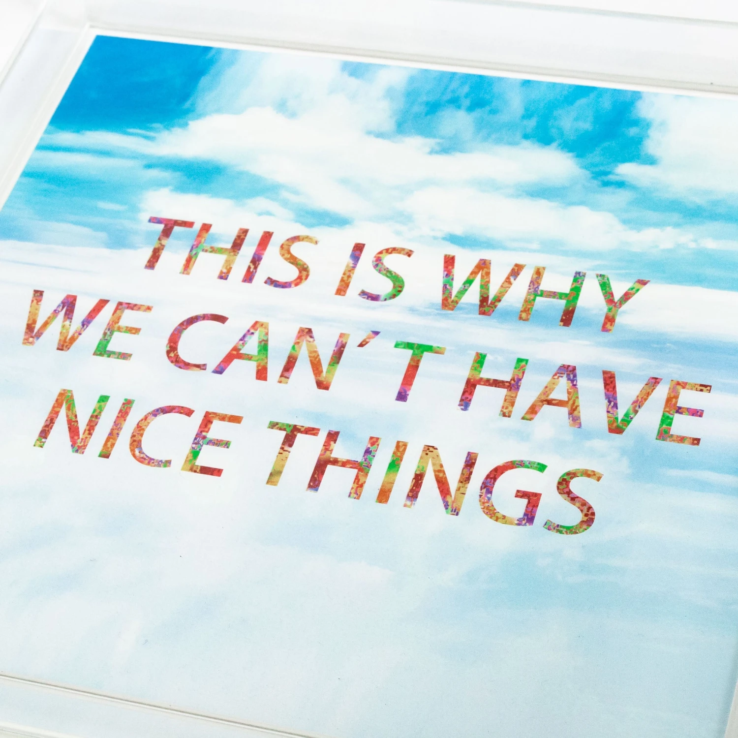 This Is Why We Can't Have Nice Things Tray 2 This Is Why We Can't Have Nice Things Tray - Image 2