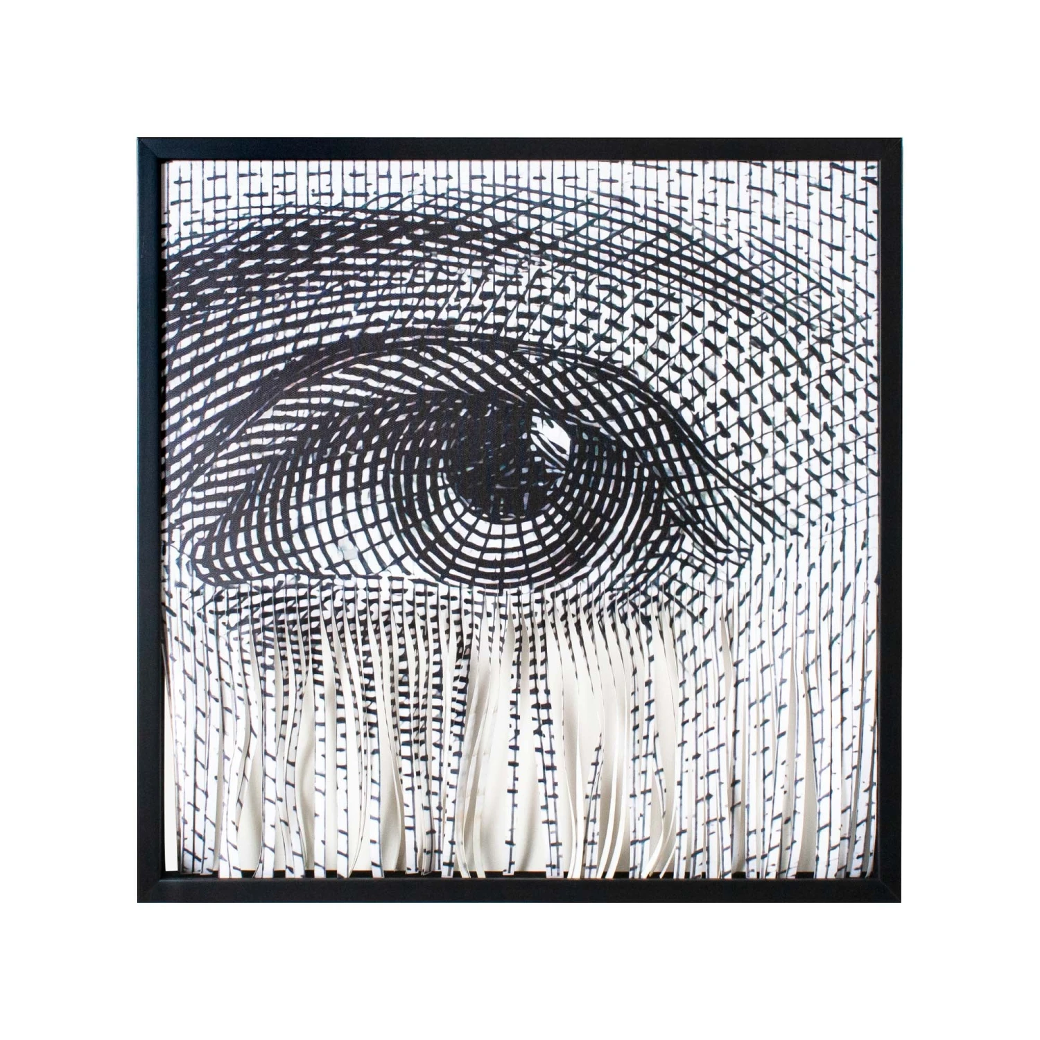 Who's Looking 1 Who's Looking