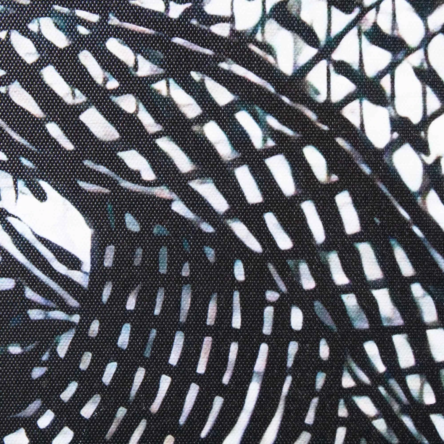 Who's Looking 3 Who's Looking - Image 3